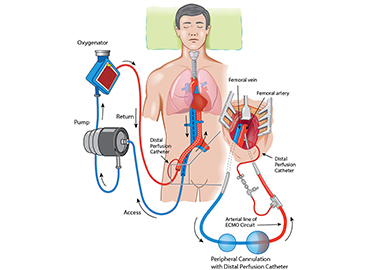 best critical care specialist near me