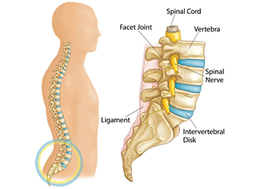 best orthopedic surgeon near me in Uppal