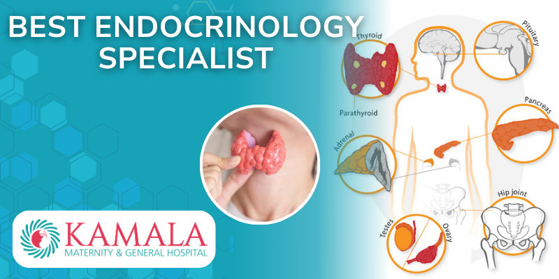 _Endocrinology